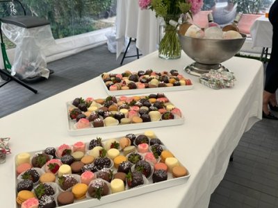 Amager Teltudlejning - galleri