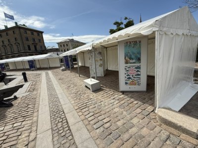 Amager Teltudlejning - galleri